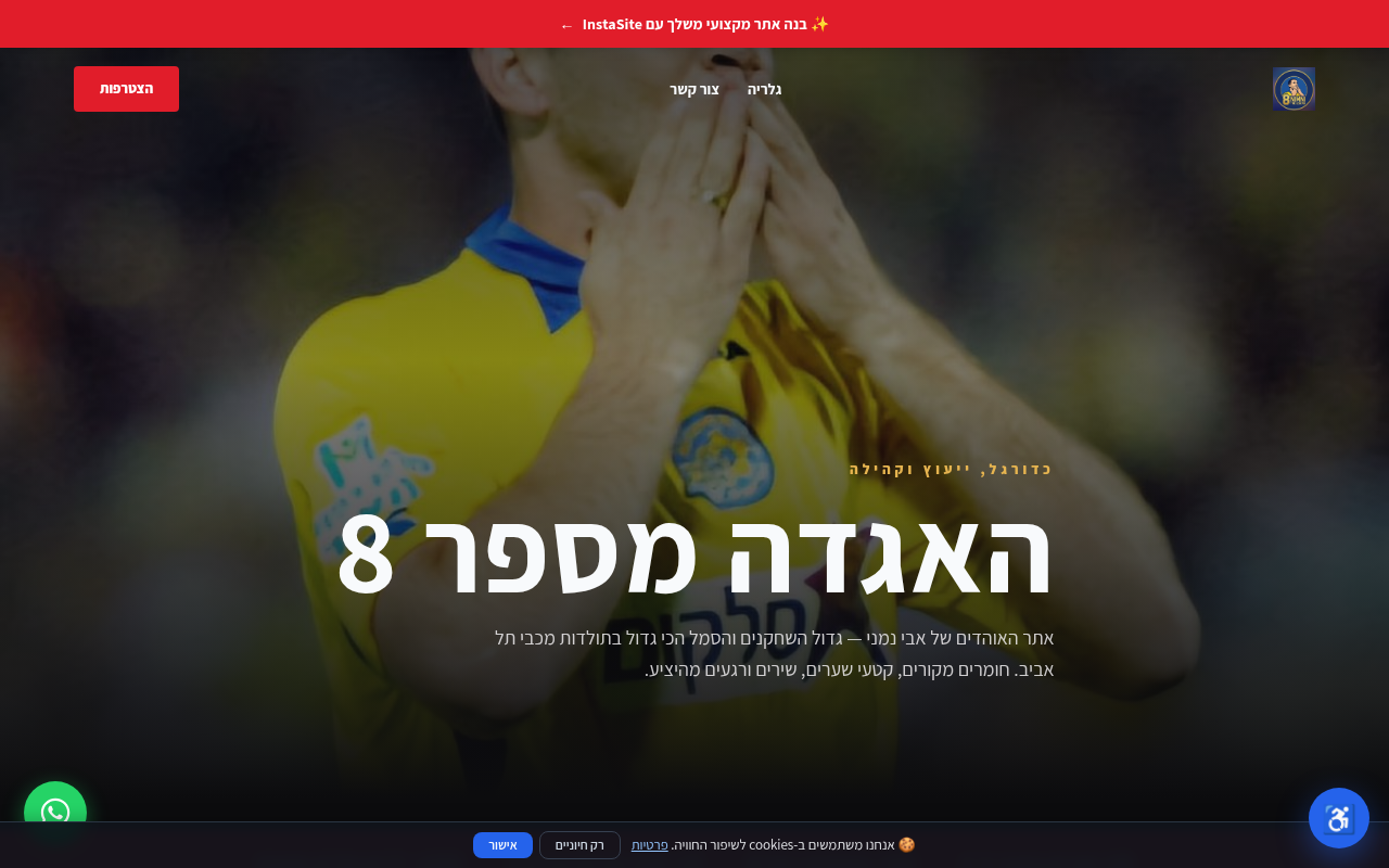 אבי נמני